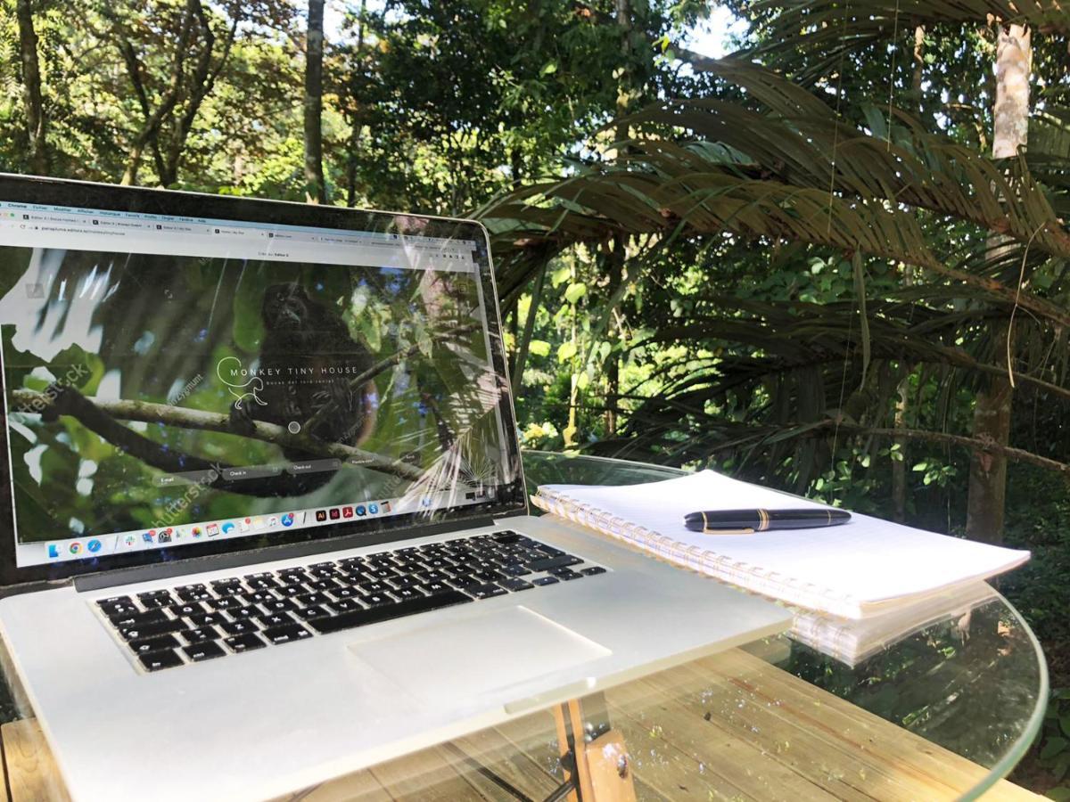 Big BightMonkey Tiny House - Private Swimming Pool别墅 外观 照片