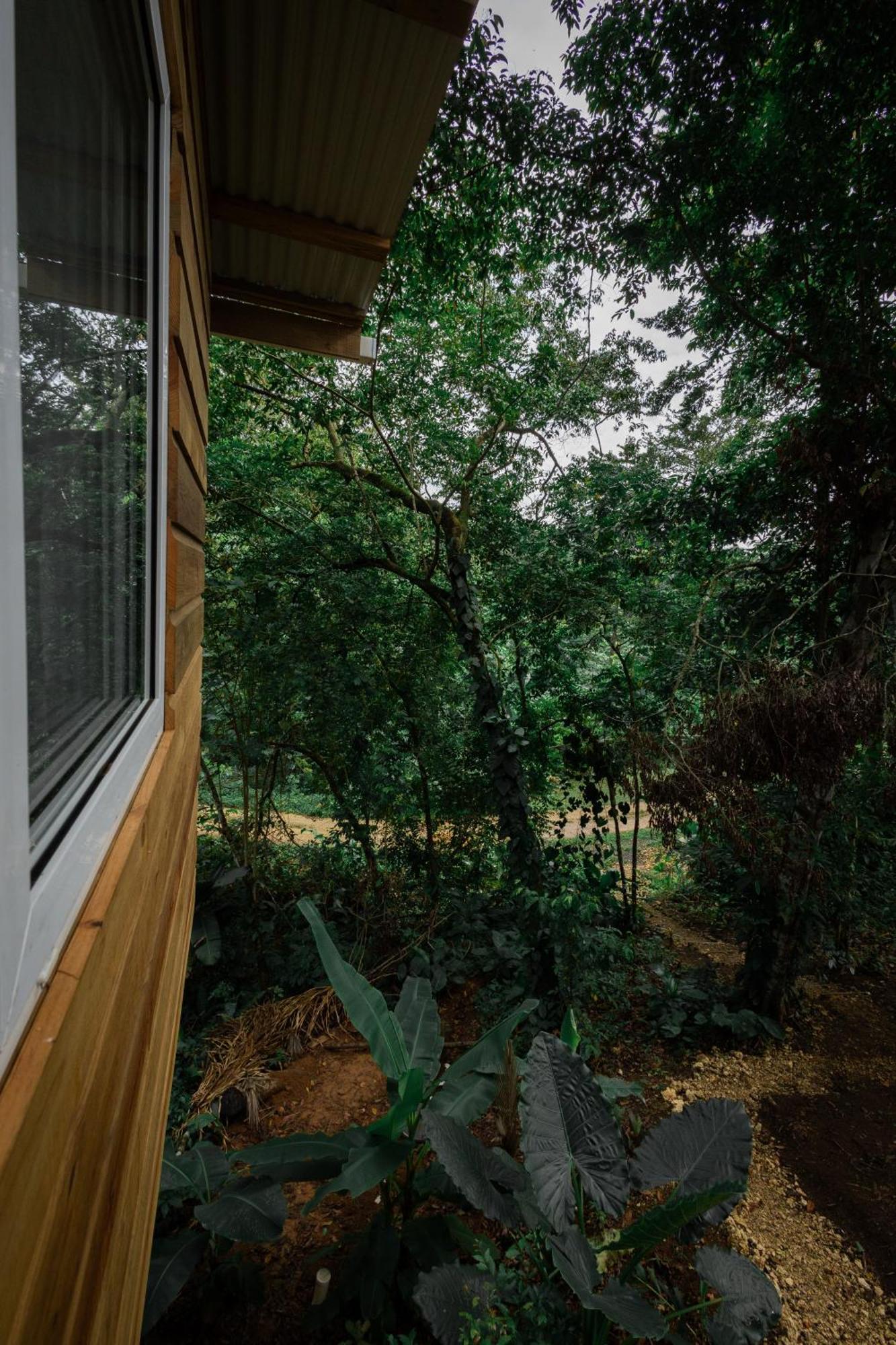 Big BightMonkey Tiny House - Private Swimming Pool别墅 外观 照片